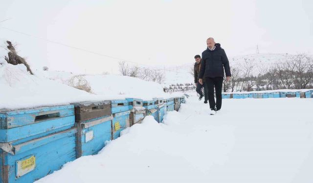 Kar yağışı arıcılara umut oldu: Koloni kayıpları azaldı