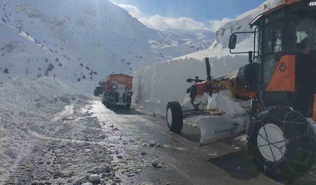 Karla mücadele esnasında kaza: Greyder şarampole yuvarlandı