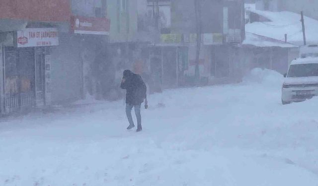 Karlıova’da şiddetli tipi: Kepenkler kapandı, hayat aksadı