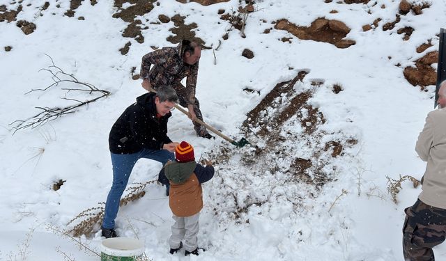 Kemaliye'de yaban hayvanları için doğaya yem bırakıldı