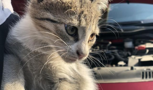 Kışın araç sahiplerine önemli çağrı: Bir vuruş hayat kurtarabilir