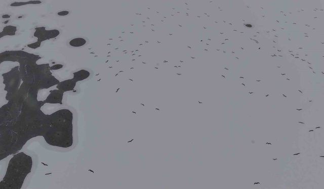 Kışın etkisiyle Cip Baraj Gölü dondu