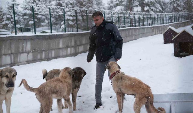 Malatya’nın ikinci hayvan barınağı Battalgazi’de açıldı