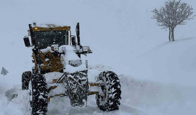 Muş’ta yoğun kar yağışı ulaşımı vurdu: 176 köy yolu kapalı