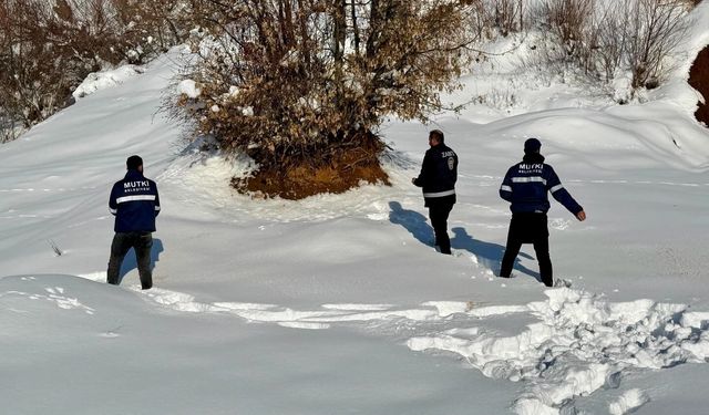 Mutki’de yaban hayvanları için doğaya yem bırakıldı