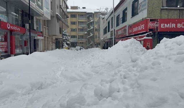 Tatvan'da gök gürültüsü eşliğinde kar yağışı