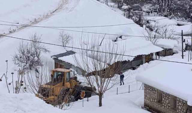 Tunceli'de karla mücadele çalışmaları aralıksız devam ediyor