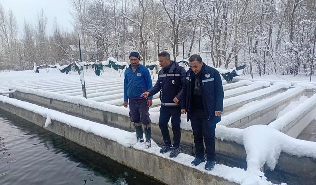 Van’da zorlu kış şartlarında alabalık üretimi incelendi