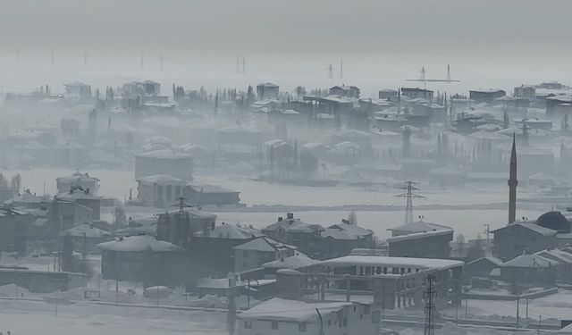 Yoğun sis Yüksekova-Ankara uçak seferini iptal ettirdi