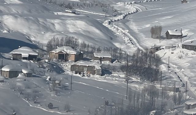 Yüksekova'da çiftçiler kurt saldırısına karşı uyarıldı