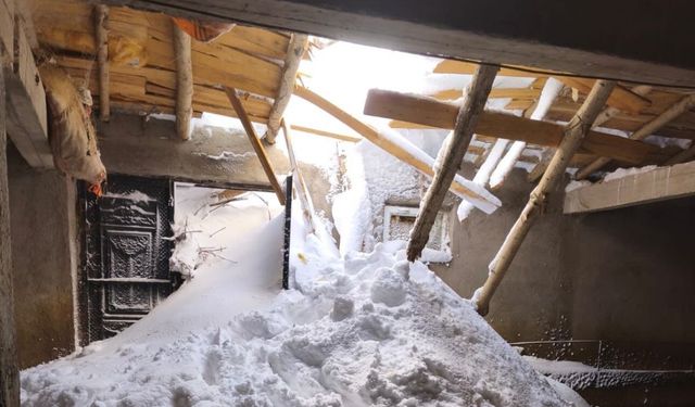 Yüksekova’daki çığın ardından zarar gören köylerde hasar tespiti yapılıyor