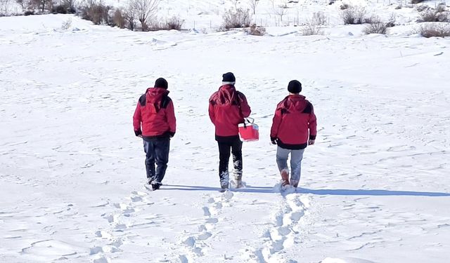 Zor koşullarda hayat kurtaran kahraman eller