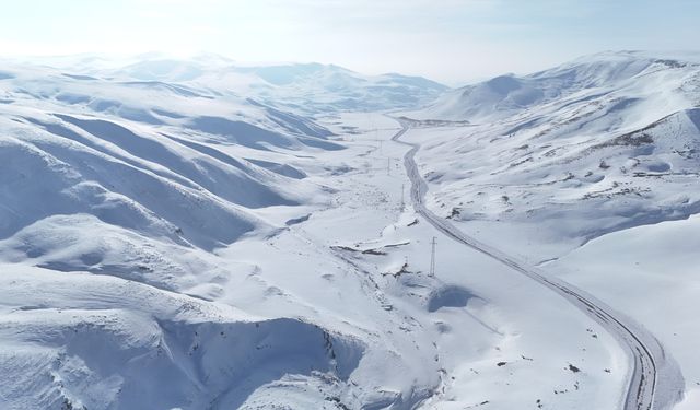 Ahlat kırsalı kar yağışıyla beyaza büründü