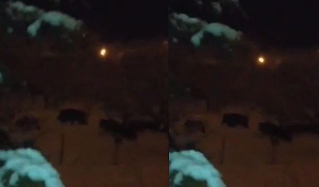 Ahlat’ta domuz sürüsü görüntülendi