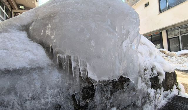 Soğuk hava Bitlis’i etkisi altına aldı