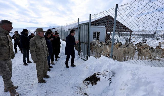 Bitlis’te sokak hayvanları bakımevi kışa hazır