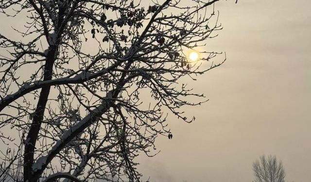 Güroymak’ta sis ve kar tarlaları görsel şölen sundu