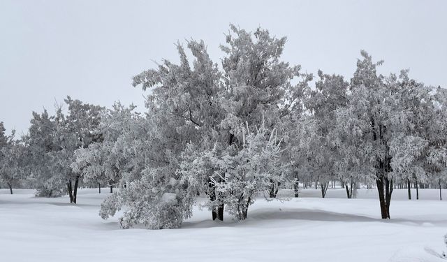 Güroymak'ta kırağı kartpostallık manzaralar oluşturdu