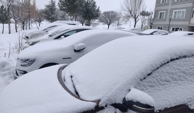 Bitlis’te Kar Etkisini Artırdı: Ahlat Beyaza Büründü