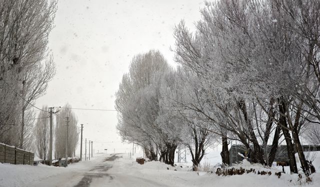Ovakışla’da ağaçlar kırağıyla beyaza büründü