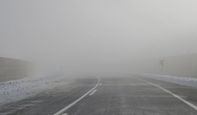 Ahlat–Malazgirt yolunda sis etkili oluyor