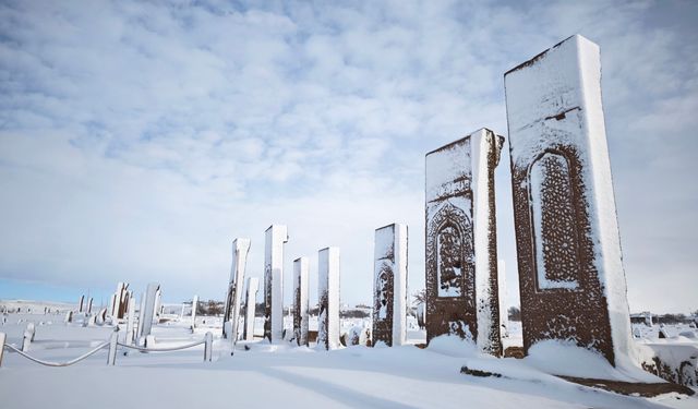 Ahlat’tan kartpostallık kar manzaraları