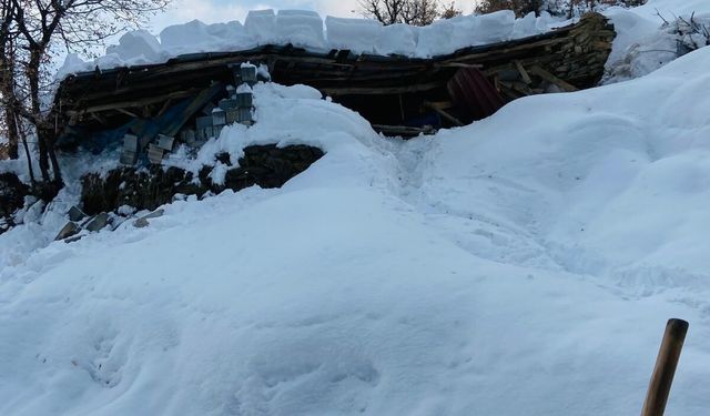 Hizan'da kar nedeniyle arı kovanlarının bulunduğu çatı çöktü