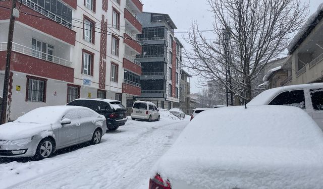 Tatvan’da kar yağışıyla soğuk hava etkili oldu