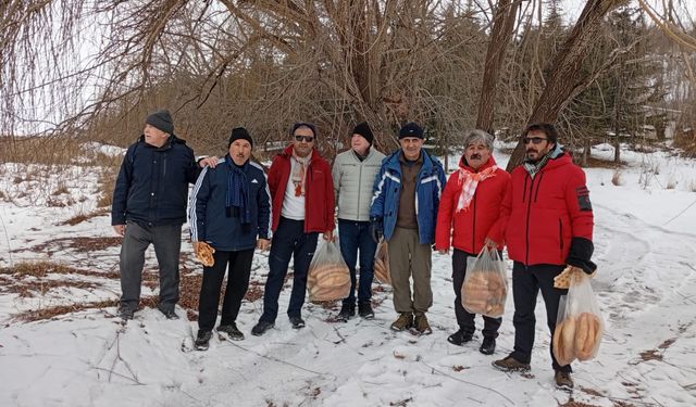 Ahlat’ta yaban hayvanları için anlamlı yemleme çalışması
