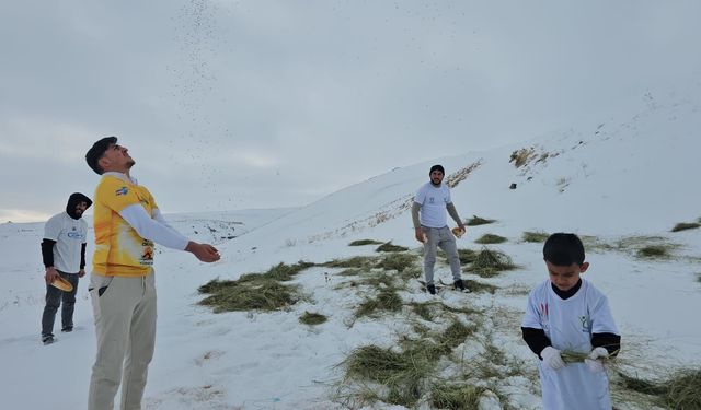 Süphan Dağı’nın eteklerine yaban hayvanları için yem bırakıldı