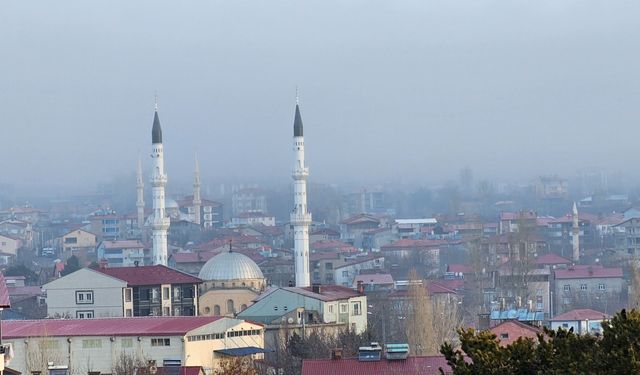 Tatvan’da Sabah Sisi Etkili Oldu: Karşıyaka Mahallesi’nde Göz Gözü Görmedi