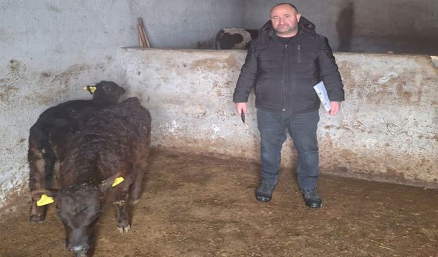 Adilcevaz’da gebe düve kontrolleri aralıksız sürüyor