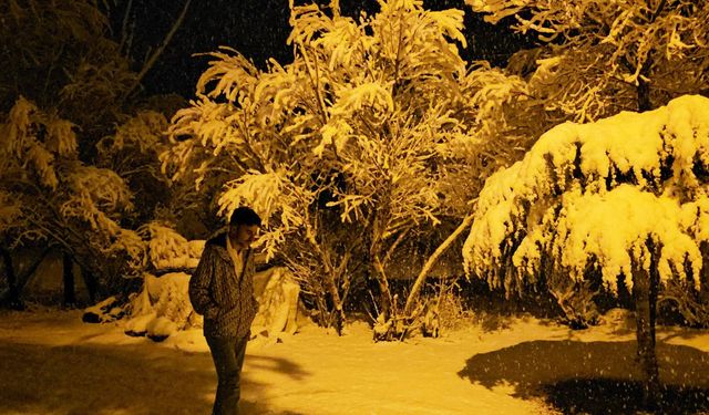 Adilcevaz’da yoğun kar yağışı etkili oldu