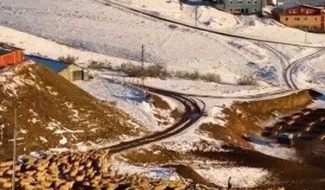 Doğayla iç içe bir emek: İliç’te küçükbaş hayvancılık