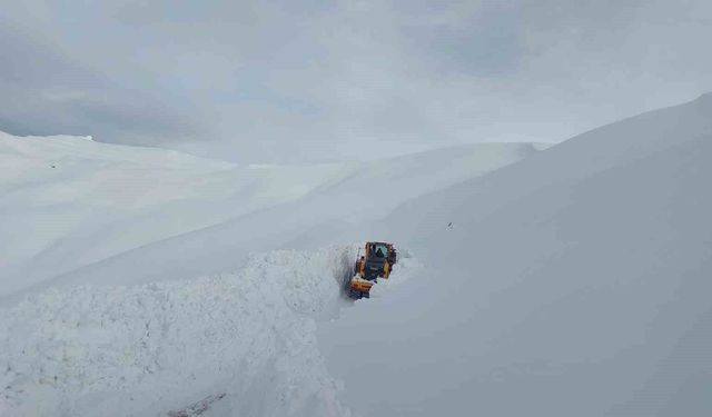 Hakkari'de 143 yerleşim yerinin yolu ulaşıma yeniden açıldı