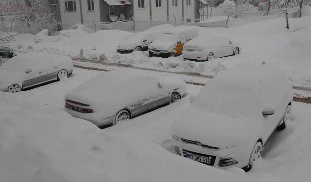 Kar Bitlis’i esir aldı, 165 köy yolu ulaşıma kapandı