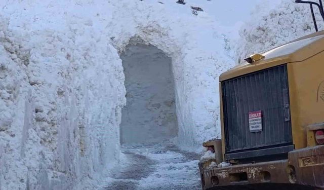 Kar esareti tünelle aşılıyor: Dikmetaş mezrasında yaşam koridoru