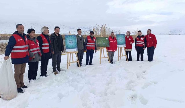 Van'da yaban hayvanlarına şefkat eli