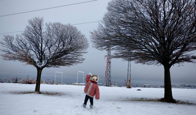 Ahlat’ta sabah saatlerinde kar yağışı etkili oldu