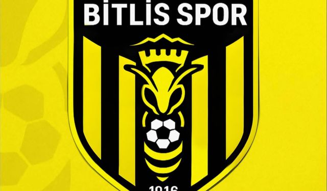 Bitlisspor, zorlu deplasmandan 3 puanla döndü