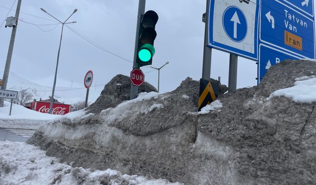 Bitlis’te tabelalar kara gömüldü