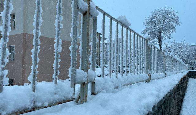 Tatvan’da etkili olan kar yağışı hayatı olumsuz etkiledi