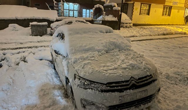 Tatvan’da Çatıdan Düşen Kar Araca Zarar Verdi