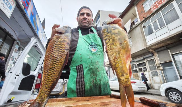 Keban Baraj Gölü’nün dev sazanları Ahlat’ta ilgi görüyor