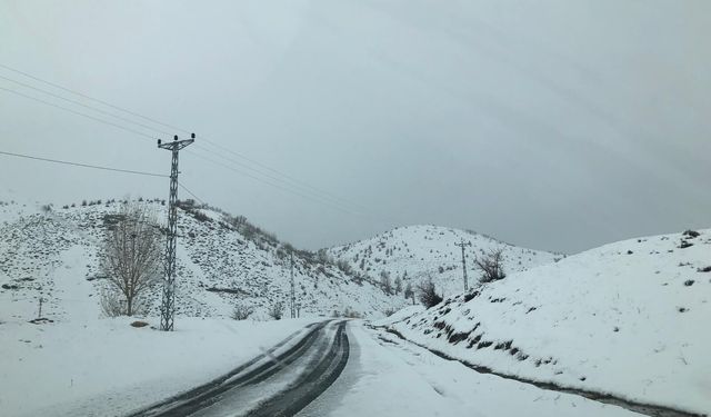 Bitlis’te kar hayatı felç etti: 5 köy yolu kapandı