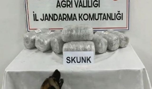 Ağrı'da 10 kilogram skunk ele geçirildi, 1 kişi tutuklandı