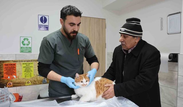 Asırlık fakülte hastanesinde 9 bin 600 hayvan sağlığına kavuştu