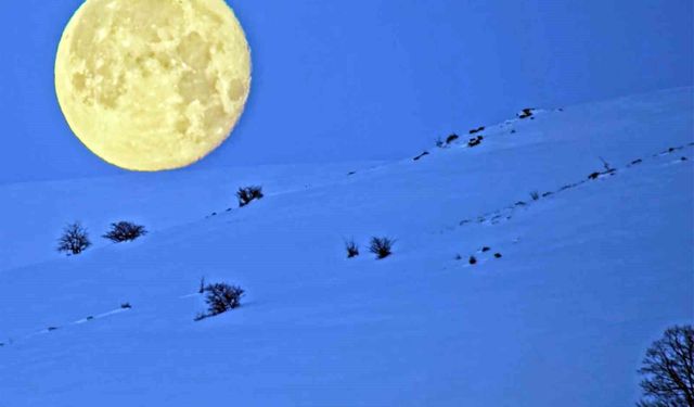 Bitlis'te karlı dağlarla bütünleşen ay manzarası hayran bıraktı