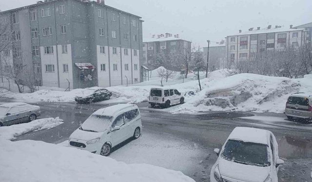 Bitlis’te mevsimler şaştı: Kar yağışı hayatı olumsuz etkiliyor