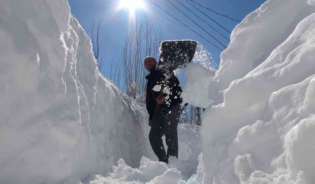 Bitlis'te vatandaşlar evlerine gitmek için kar tüneli açtılar